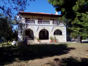 Pine tree house